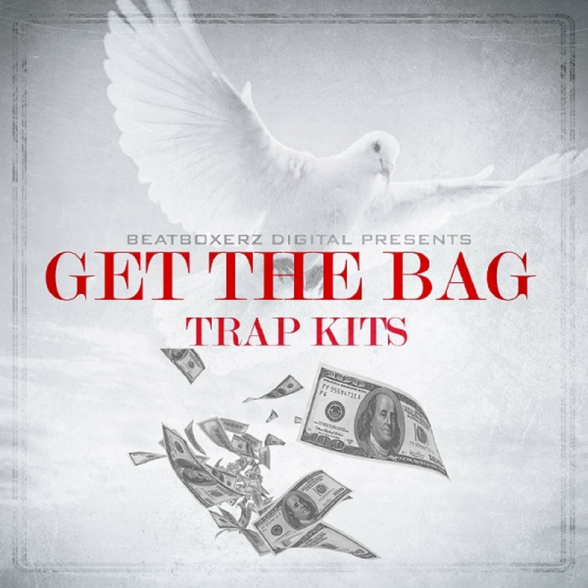 YnK Audio - Get The Bag Sample Packs Software GUI Artwork
